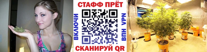 Магазин наркотиков Вельск Канабис СОЛЬ Гашиш COCAIN