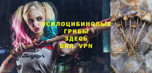 синтетический гашиш Белокуриха