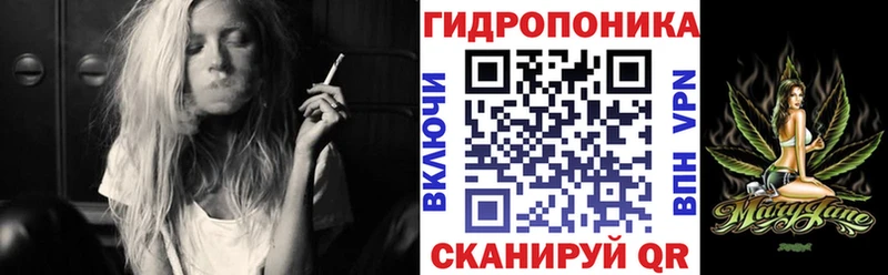 гидра ТОР Вельск Конопля планчик
